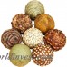 Three Posts Autumnal 8 Piece Natural Decorative Ball Set THRE1635